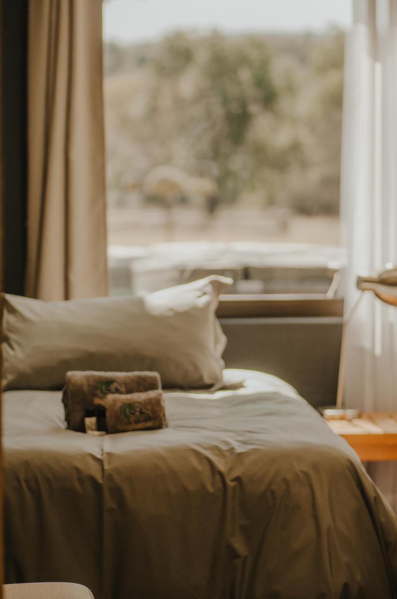 모디몰레 Wilgeboomsdrift Safaris 아파트 외부 사진